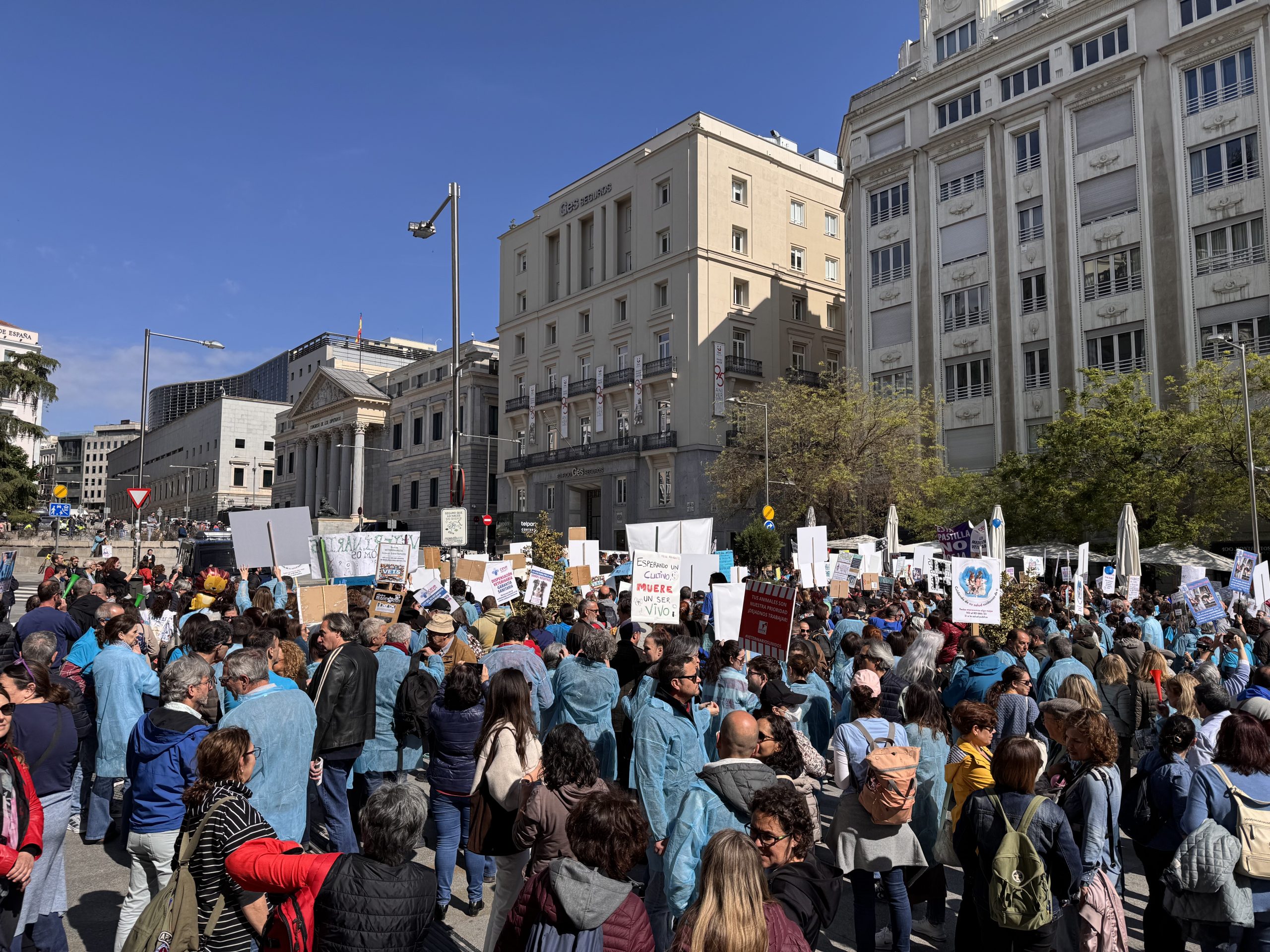 Veterinarios en pie de guerra: La concentración frente al Congreso de los Diputados