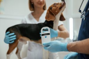 Los Colegios de Veterinarios de Las Palmas y Tenerife refuerzan su compromiso con la identificación y el bienestar animal a través de la campaña “Identifica y Protege”