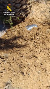 Identificada la propietaria de un perro por enterrar su cadáver en la vía pública de Fuerteventura
