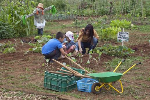 La Escuela de Medio Ambiente de Camargo organiza una actividad para crear un jardín para insectos polinizadores