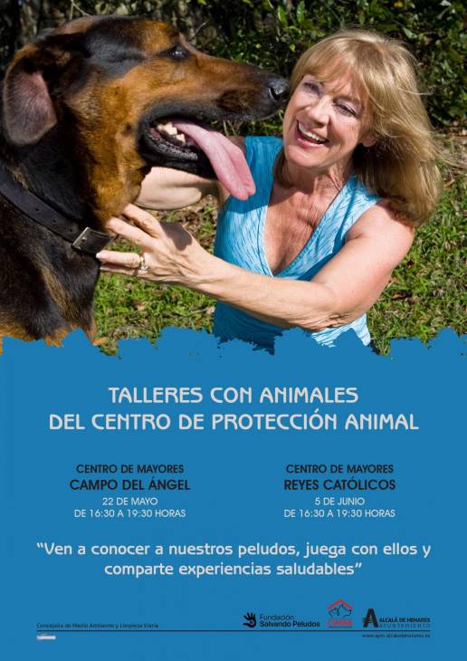 Los mayores comparten experiencias con los perros del CIMPA para mejorar su bienestar emocional y físico