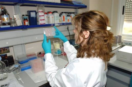 Confirmado un foco de 'influenza aviar' en Don Benito (Badajoz) tras la muerte de varios gansos en una finca