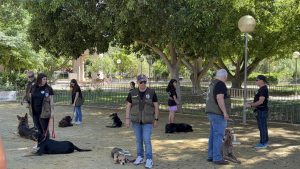 Una exhibición canina fomenta la tenencia responsable de mascotas y sensibiliza de sus beneficios para la salud mental