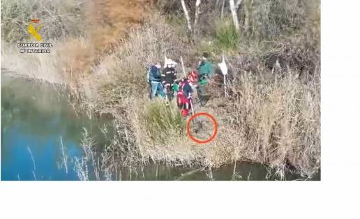 Un detenido y un investigado tras aparecer ahogado un perro atado y sujeto a bloques de hormigón en Arganda