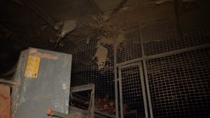 Denuncian a una granja avícola de Mallorca en la que las gallinas conviven con cadáveres, ratas y suciedad