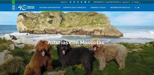 Turismo crea un portal que recoge más de 300 recursos y empresas adaptadas a visitantes con mascotas