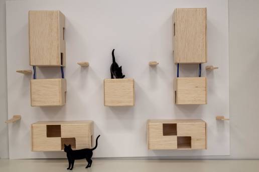 Estudiantes diseñan refugios para gatos de colonias urbanas integradas en el entorno y que priorizan el bienestar animal