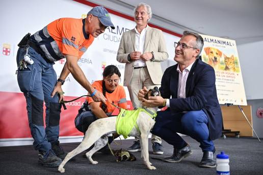 La feria 'AlmAnimal' vuelve este fin de semana con actividades para promover el bienestar animal