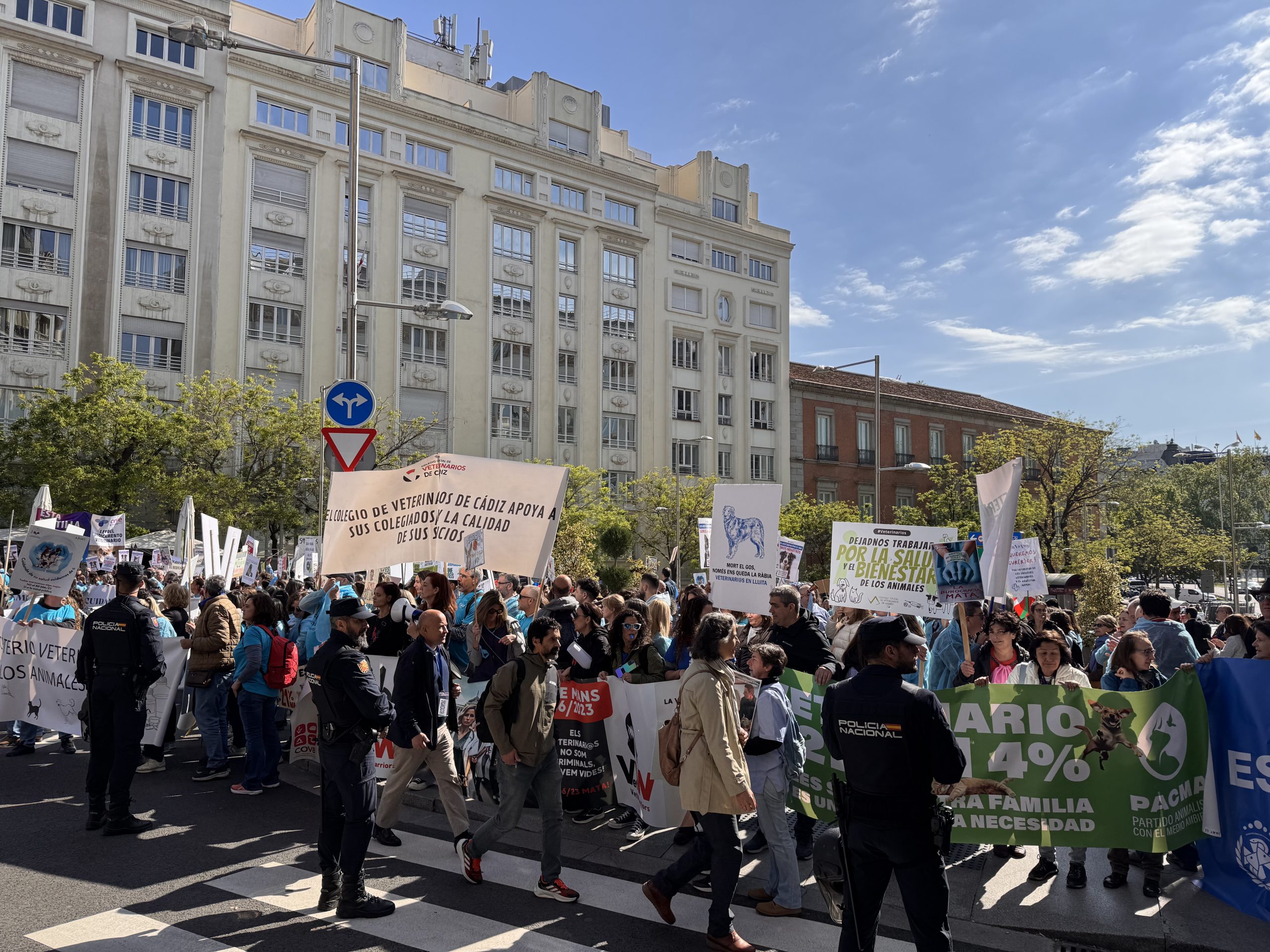 Veterinarios en pie de guerra: La concentración frente al Congreso de los Diputados