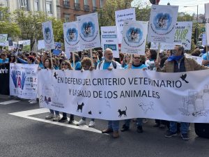Veterinarios en pie de guerra: La concentración frente al Congreso de los Diputados
