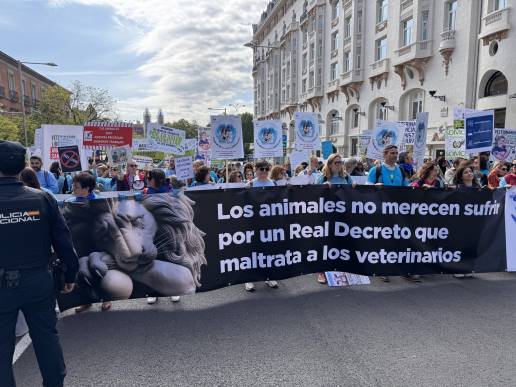 Veterinarios en pie de guerra: La concentración frente al Congreso de los Diputados