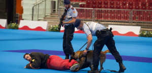 Perros policía y de la Guardia Real, presentadores infantiles y razas  únicas en la Expo Internacional Canina del 24 y 25 de mayo en Madrid