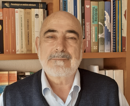 A propósito de las elecciones al Consejo. Una mirada atrás para encarar el futuro