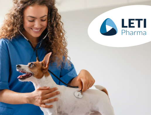 Leishmaniosis canina: más allá de la prevención, una llamada al liderazgo veterinario