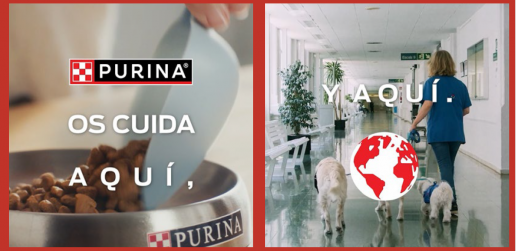 Purina comprometida en favorecer la salud de las personas gracias al vínculo humano-animal