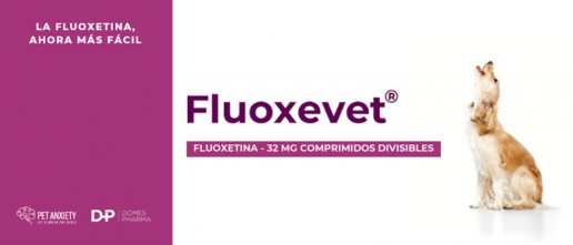 Dômes Pharma: Ansiedad, miedos y fobias en perros. Webinar. El martes 17 de junio de 15 a 16 horas