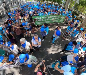 Marea azul en las calles : Veterinarios en las calles: Un clamor que no puede ser ignorado