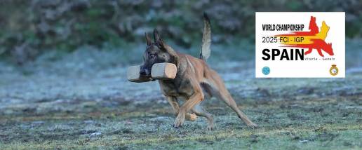 Vitoria-Gasteiz acogerá el Campeonato Mundial de Perros de Utilidad y Rastro del 15 al 21 de septiembre