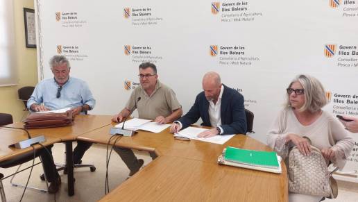 AM-Govern balear podría sancionar con más de 420.000 euros a la granja de Llucmajor y sacrificará más de 20.000 gallinas