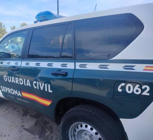 Rescatan a un perro atrapado a unos tres metros de profundidad en el cauce de un arroyo en Antequera (Málaga)