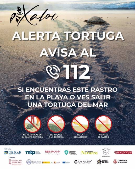 Arranca la campaña para concienciar sobre la presencia de tortugas marinas en las costas valencianas