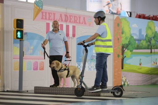 Más de 600 personas asisten a la exhibición de perros guía de la ONCE en Santander