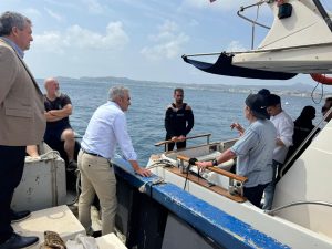 Agricultura impulsa la recuperación de especies como erizos de mar junto con la Fundación Oceanogràfic