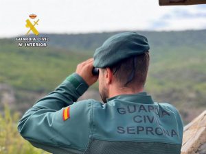 Condenado a 1,5 años un ganadero de Renedo que tenía animales muertos devorados por ratas y otros con sarna