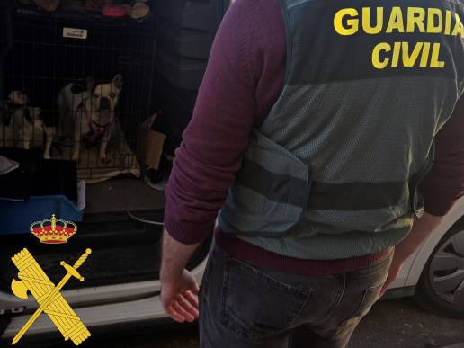 A prisión una mujer ya investigada por la venta reincidente de animales simulando una protectora
