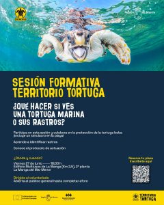 El Gobierno regional impulsa la formación de voluntarios para proteger a la tortuga boba en las costas de la Comunidad