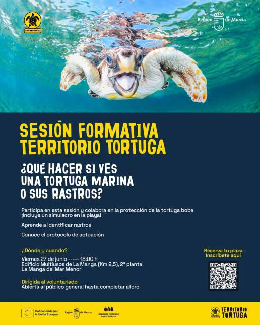 El Gobierno regional impulsa la formación de voluntarios para proteger a la tortuga boba en las costas de la Comunidad