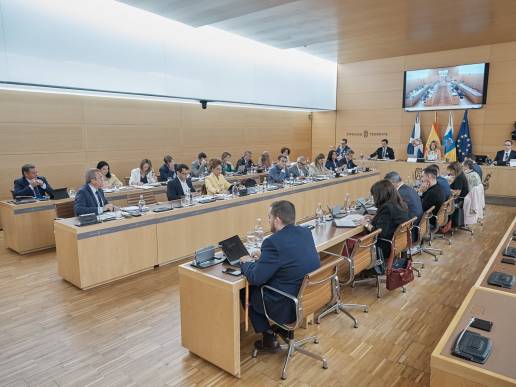 El Cabildo declara a Tenerife como 'isla amiga de los animales'
