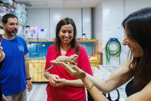 El Santuario de Reptiles acoge más de 40 animales rescatados en distintos lugares de la ciudad
