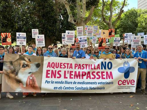 Marea azul. Veterinarios en las calles: Un clamor que no puede ser ignorado