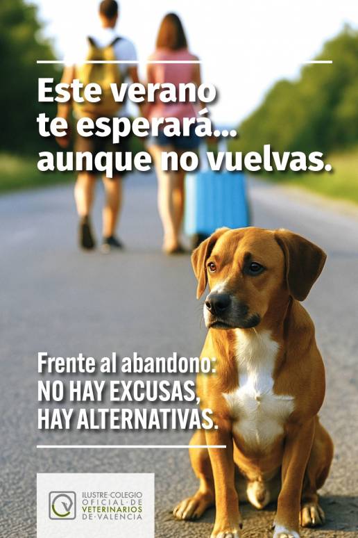 El ICOVV lanza una campaña contra el abandono animal en verano y recuerda que la identificación es un pilar para combatirlo
