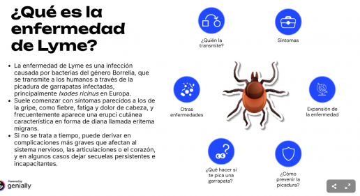 Garrapatas y enfermedad de Lyme, una plaga creciente en España