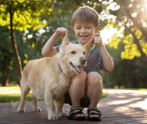 Atención plena con patas: estos son los beneficios de las terapias asistidas con perros en niños y adolescentes con TDAH