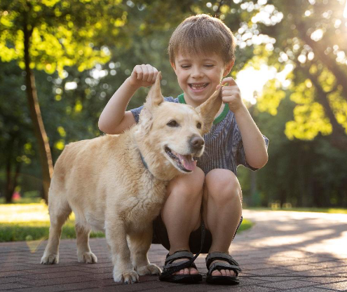 Atención plena con patas: estos son los beneficios de las terapias asistidas con perros en niños y adolescentes con TDAH