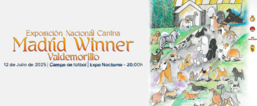 Madrid celebra su gran “Fiesta Nocturna del Perro” con más de 500 ejemplares de más de un centenar de razas