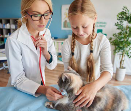 La atención al cliente veterinario es clave para el bienestar de mascotas y propietarios