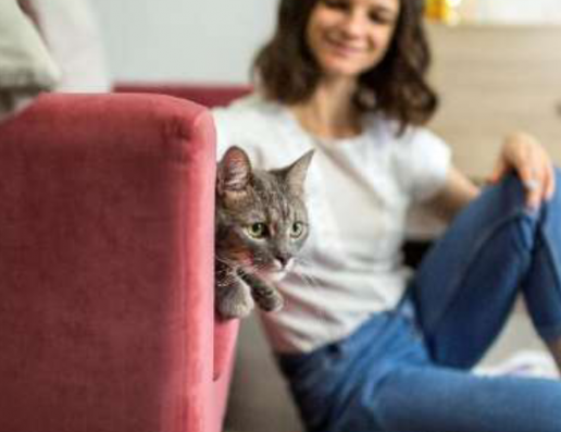 ¿Eres alérgico a los gatos? Cinco datos que quizás no conocías y cómo prevenirlo