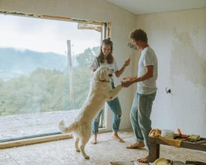1 de agosto - Día Mundial de la Alegría: ¿Cómo los animales mejoran nuestro bienestar emocional? Cinco claves para entender su impacto positivo