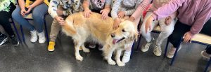 Los perros de intervención asistida de Yaracan han acompañado a más de 1000 niños y niñas afectados por la DANA