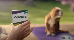 Elanco anuncia la aprobación y el lanzamiento de Zenrelia® (comprimidos de ilunocitinib) en España, una solución innovadora para la dermatología canina.