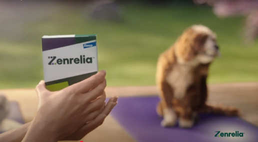 Elanco anuncia la aprobación y el lanzamiento de Zenrelia® (comprimidos de ilunocitinib) en España, una solución innovadora para la dermatología canina.