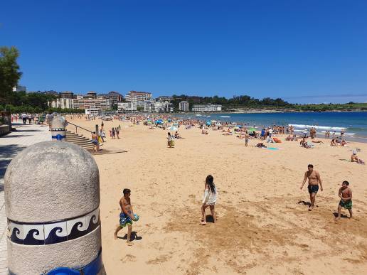 Los ciudadanos eligen la Segunda del Sardinero como playa canina de 20.30 a 23.30 horas