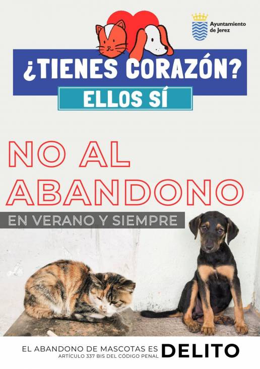  Ayuntamiento, protectoras y asociaciones ponen en marcha una campaña contra el abandono de animales