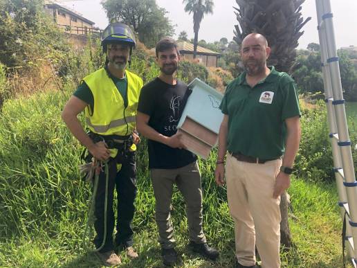 Selwo y Murciélagos Málaga colaboran en un proyecto de conservación in situ de murciélagos autóctonos