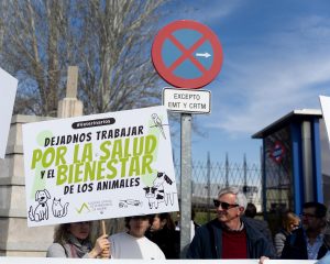 El Senado suprime el acuerdo entre PSOE y ERC para flexibilizar la dispensación de antibióticos por los veterinarios
