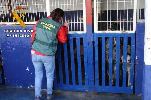 Dos investigados por maltrato a perros en Lodosa